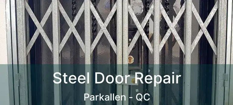  Steel Door Repair Parkallen - QC
