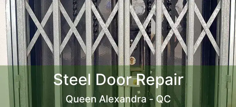  Steel Door Repair Queen Alexandra - QC
