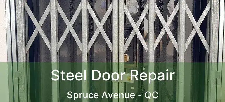  Steel Door Repair Spruce Avenue - QC
