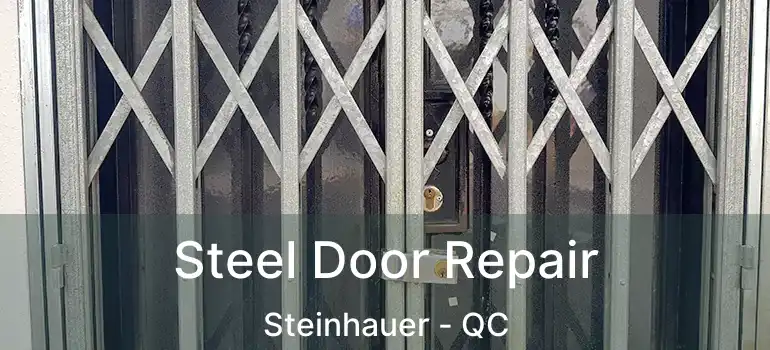  Steel Door Repair Steinhauer - QC