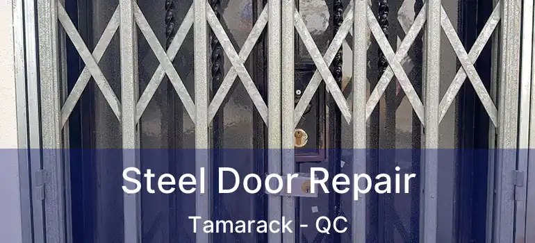  Steel Door Repair Tamarack - QC