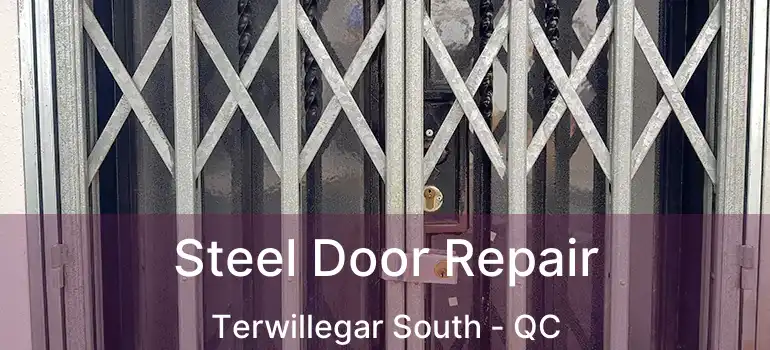  Steel Door Repair Terwillegar South - QC