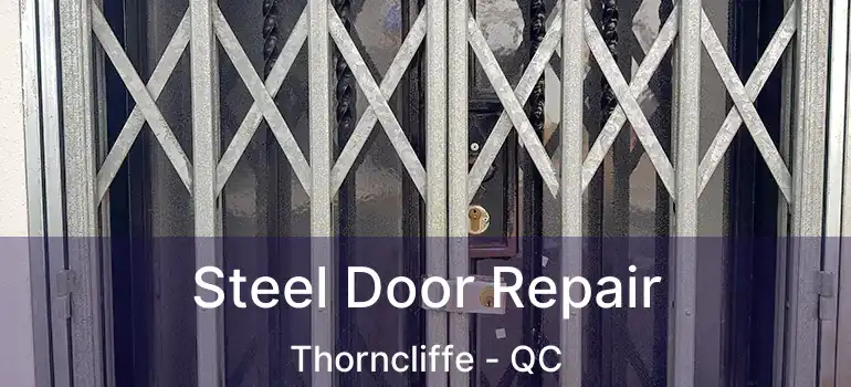  Steel Door Repair Thorncliffe - QC