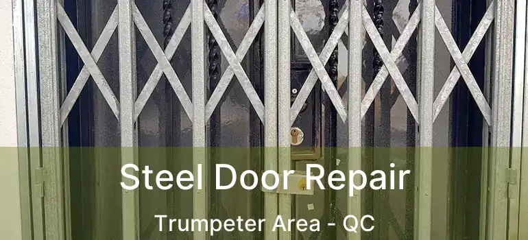  Steel Door Repair Trumpeter Area - QC