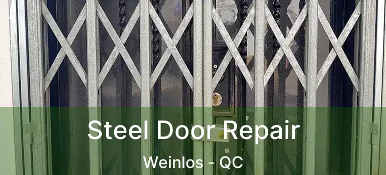  Steel Door Repair Weinlos - QC