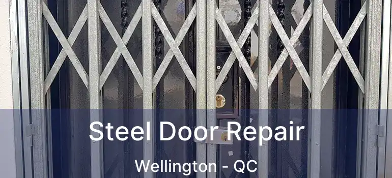  Steel Door Repair Wellington - QC