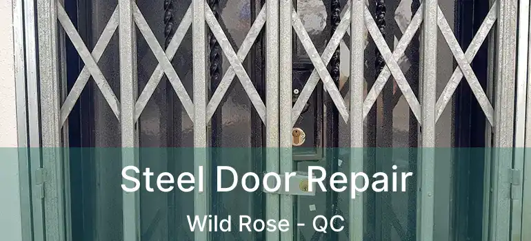  Steel Door Repair Wild Rose - QC