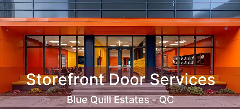  Storefront Door Services Blue Quill Estates - QC