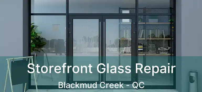  Storefront Glass Repair Blackmud Creek - QC
