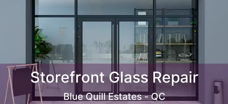  Storefront Glass Repair Blue Quill Estates - QC