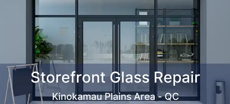 Storefront Glass Repair Kinokamau Plains Area - QC