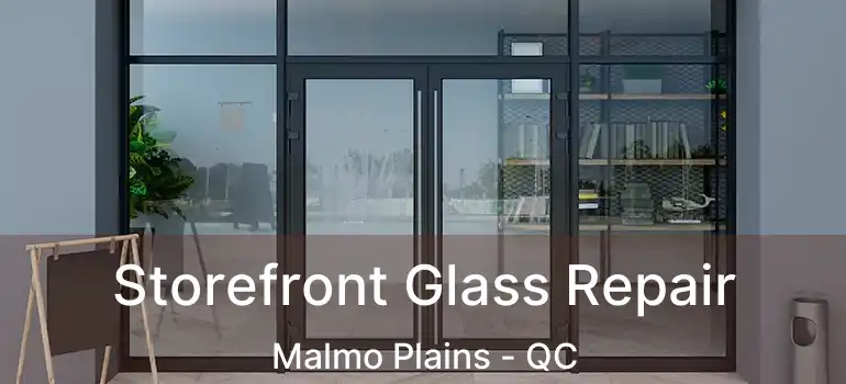  Storefront Glass Repair Malmo Plains - QC