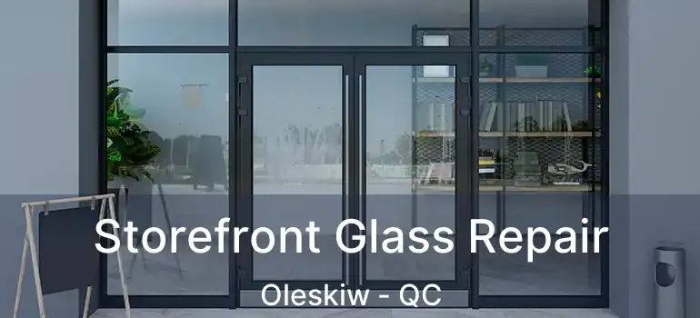  Storefront Glass Repair Oleskiw - QC