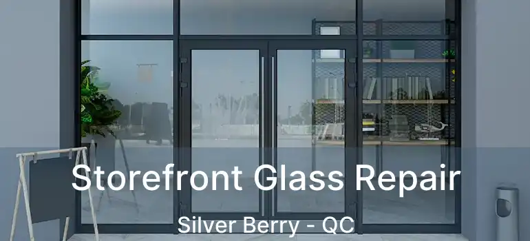  Storefront Glass Repair Silver Berry - QC