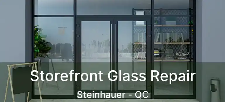  Storefront Glass Repair Steinhauer - QC