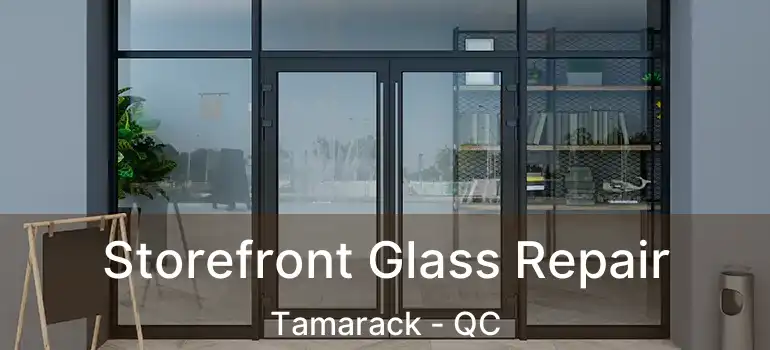  Storefront Glass Repair Tamarack - QC