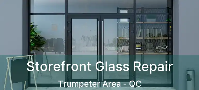  Storefront Glass Repair Trumpeter Area - QC