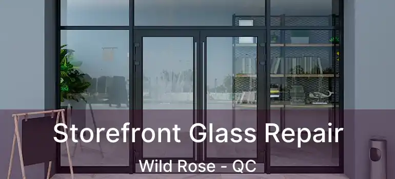  Storefront Glass Repair Wild Rose - QC