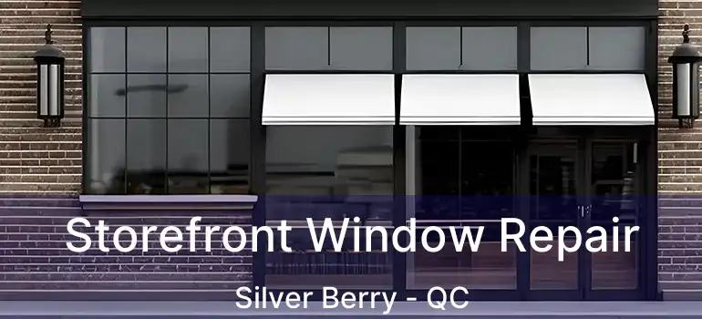  Storefront Window Repair Silver Berry - QC