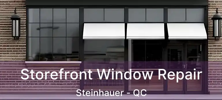  Storefront Window Repair Steinhauer - QC