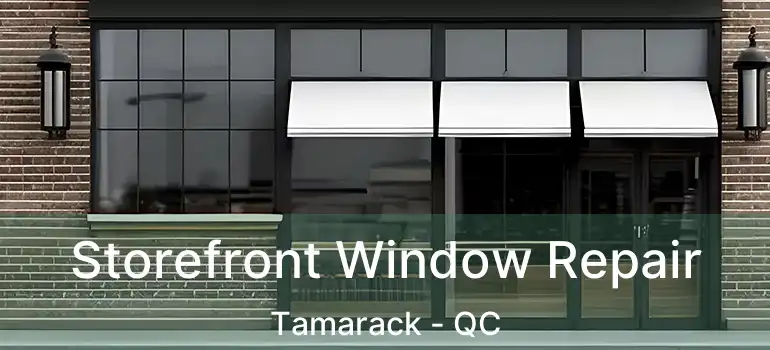  Storefront Window Repair Tamarack - QC