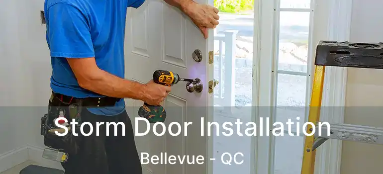  Storm Door Installation Bellevue - QC