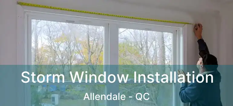  Storm Window Installation Allendale - QC