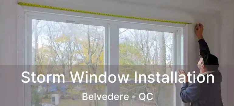  Storm Window Installation Belvedere - QC
