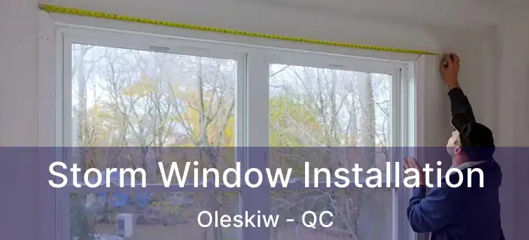  Storm Window Installation Oleskiw - QC