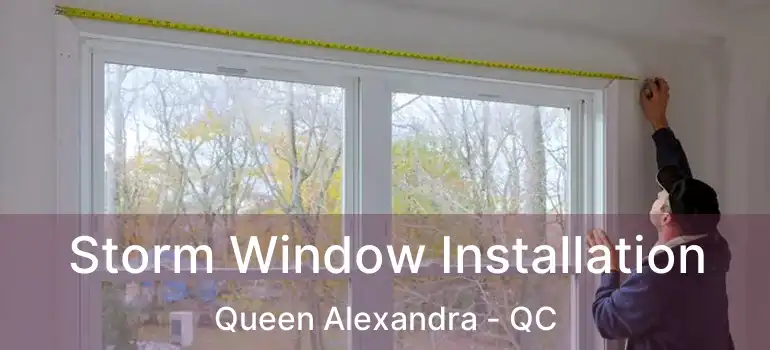  Storm Window Installation Queen Alexandra - QC