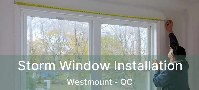  Storm Window Installation Westmount - QC