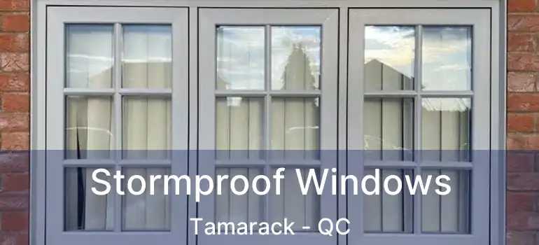  Stormproof Windows Tamarack - QC