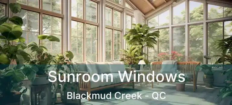  Sunroom Windows Blackmud Creek - QC