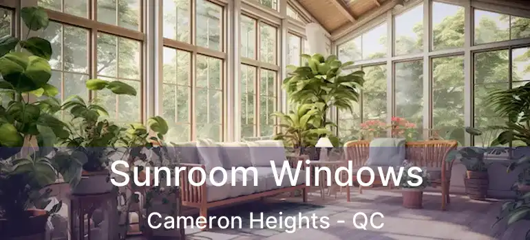  Sunroom Windows Cameron Heights - QC