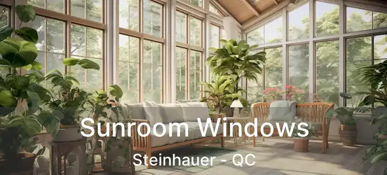  Sunroom Windows Steinhauer - QC