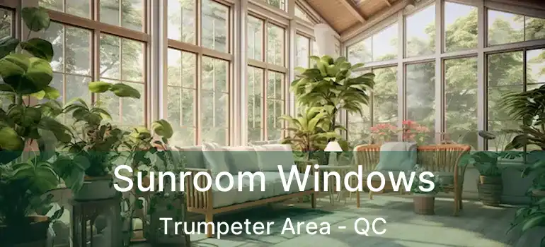  Sunroom Windows Trumpeter Area - QC