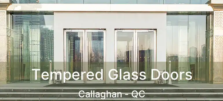  Tempered Glass Doors Callaghan - QC