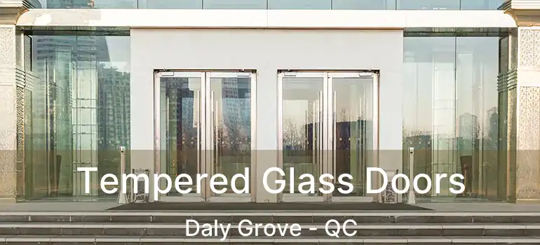  Tempered Glass Doors Daly Grove - QC