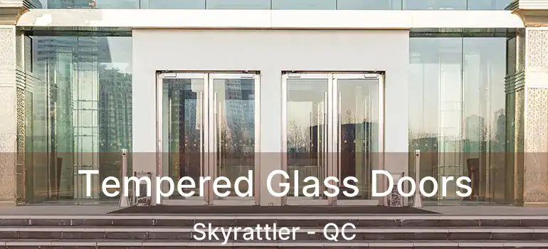  Tempered Glass Doors Skyrattler - QC