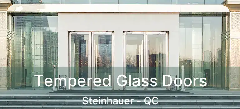  Tempered Glass Doors Steinhauer - QC