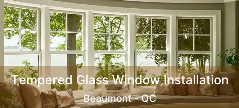  Tempered Glass Window Installation Beaumont - QC