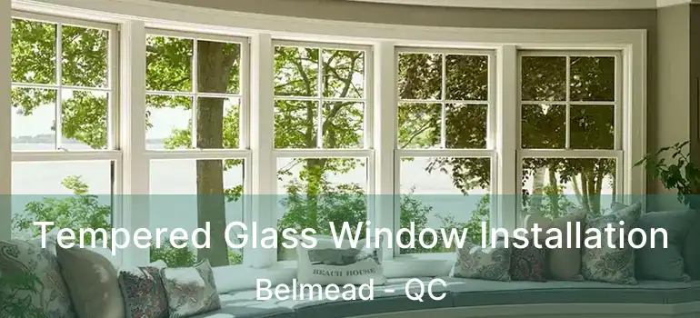 Tempered Glass Window Installation Belmead - QC