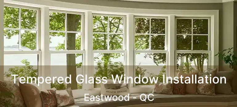  Tempered Glass Window Installation Eastwood - QC