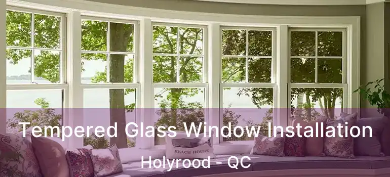  Tempered Glass Window Installation Holyrood - QC