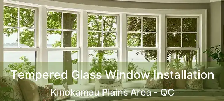  Tempered Glass Window Installation Kinokamau Plains Area - QC