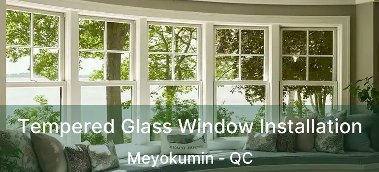  Tempered Glass Window Installation Meyokumin - QC