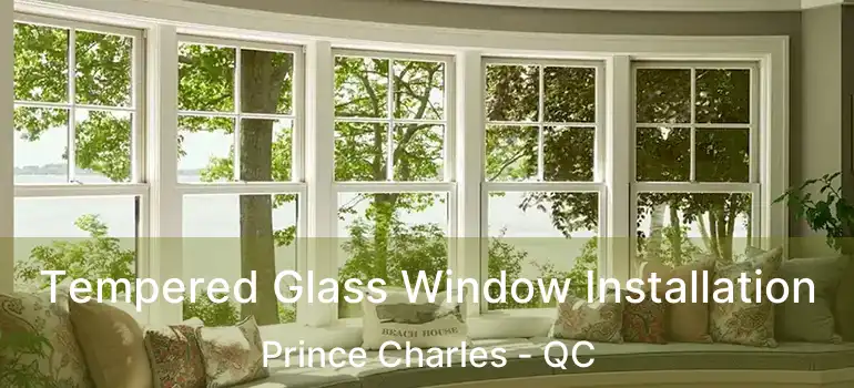  Tempered Glass Window Installation Prince Charles - QC