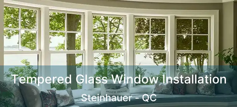  Tempered Glass Window Installation Steinhauer - QC