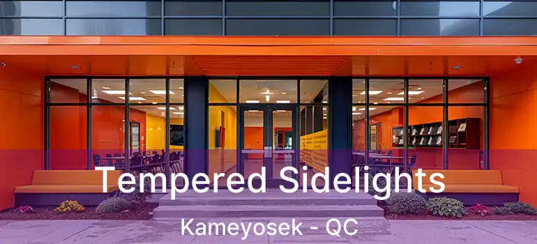  Tempered Sidelights Kameyosek - QC