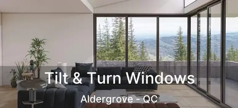  Tilt & Turn Windows Aldergrove - QC